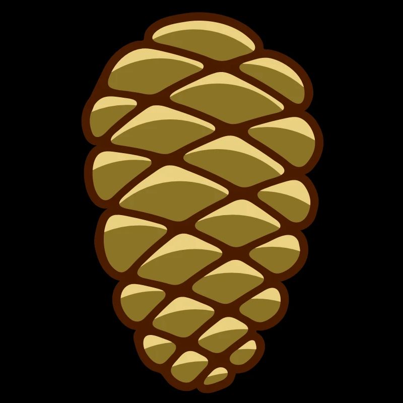 Un cône de pin