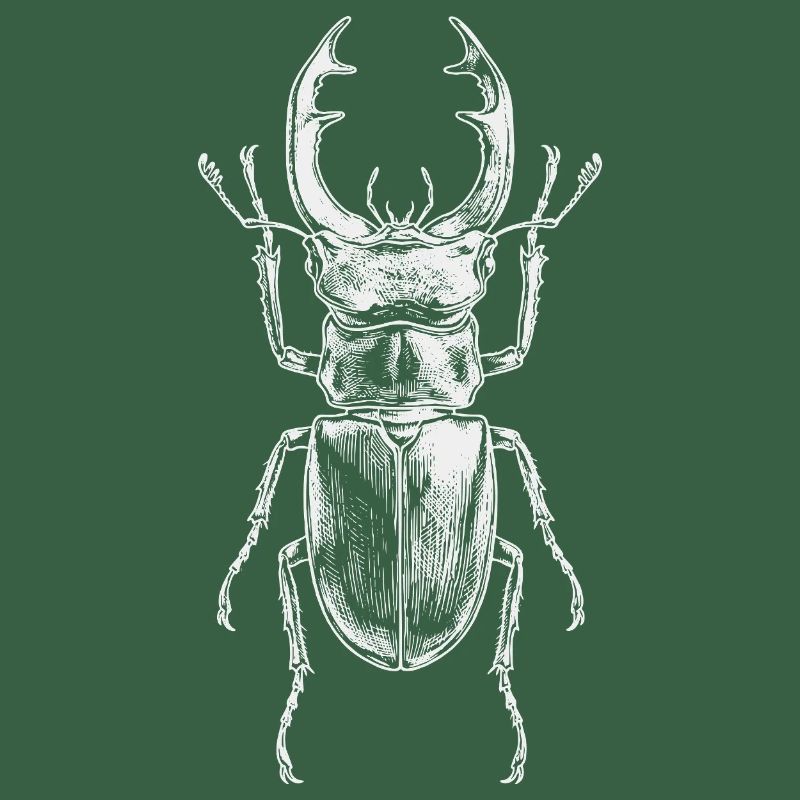 Conception de gros insectes