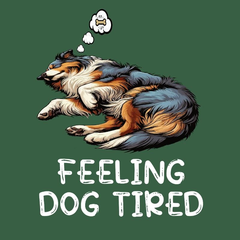 Feeling Dog Tired Australian Shepherd Aussiehalter
