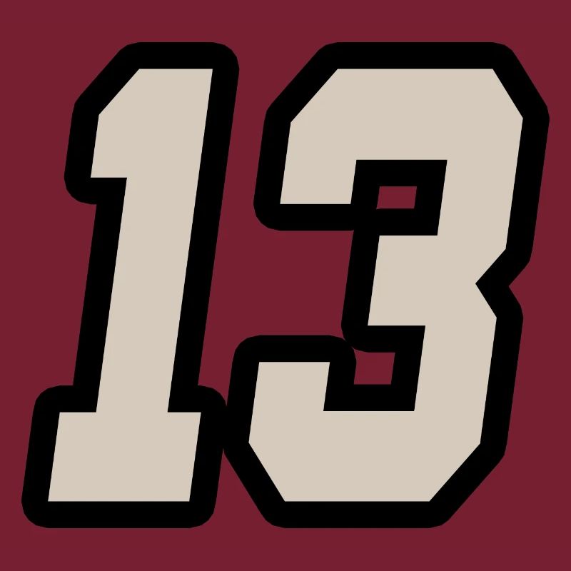 NUMMER DREIZEHN 13