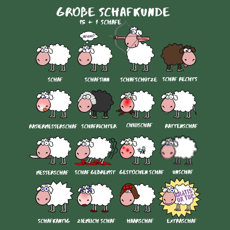 Great sheep knowledge