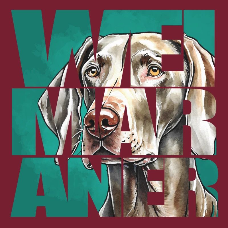 Weimaraner Portrait