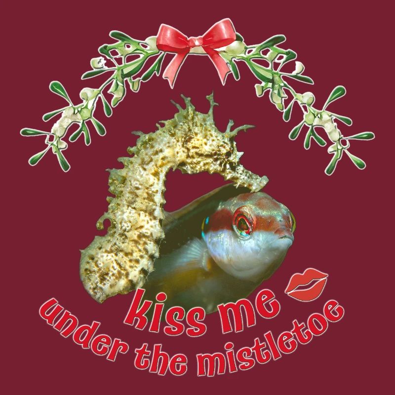 Baiser de gui – Salutations de Noël en mer