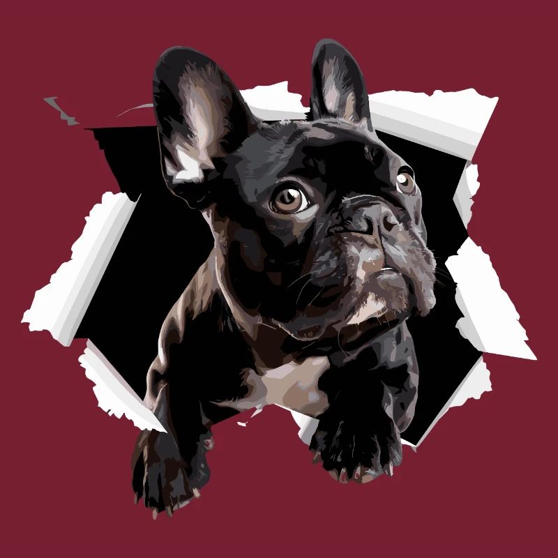 Percée du bouledogue français Drôle