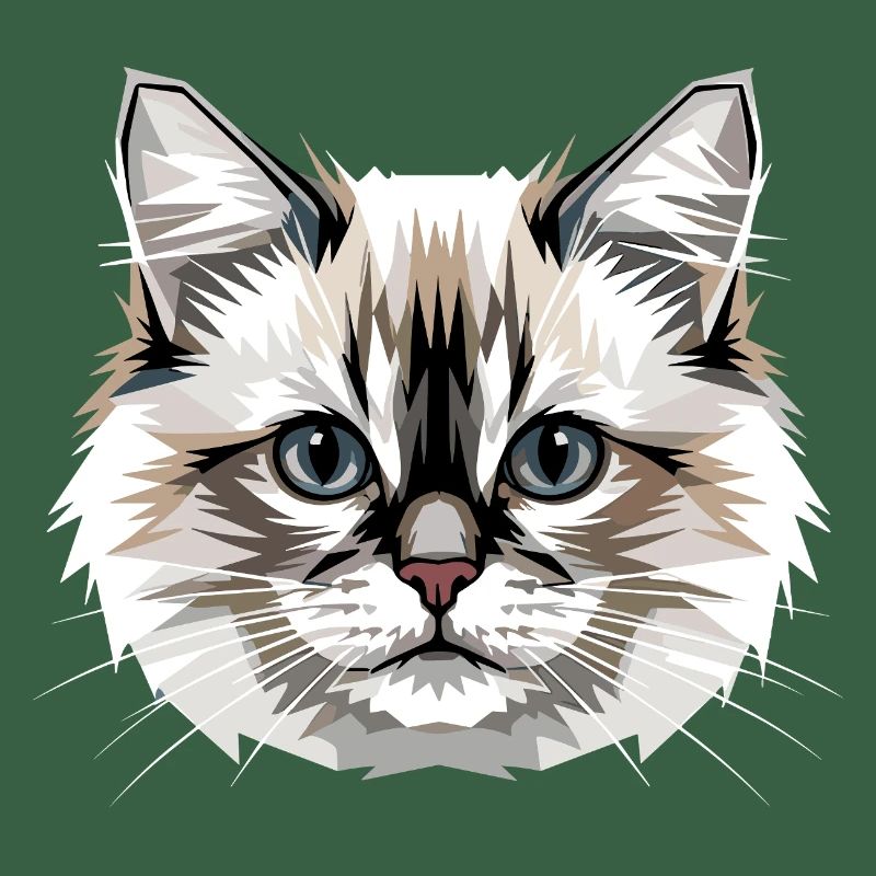 Ragdoll Chat Ragdoll Chat Mignons Chats Ragdoll