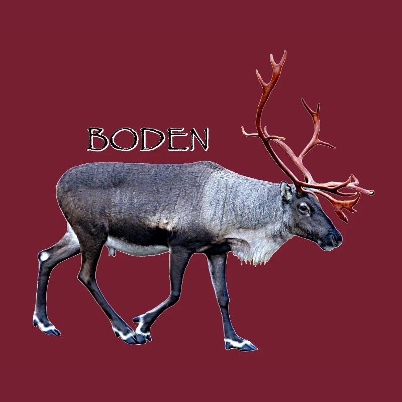 Boden