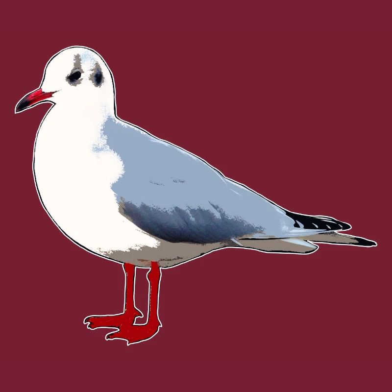 Mouette