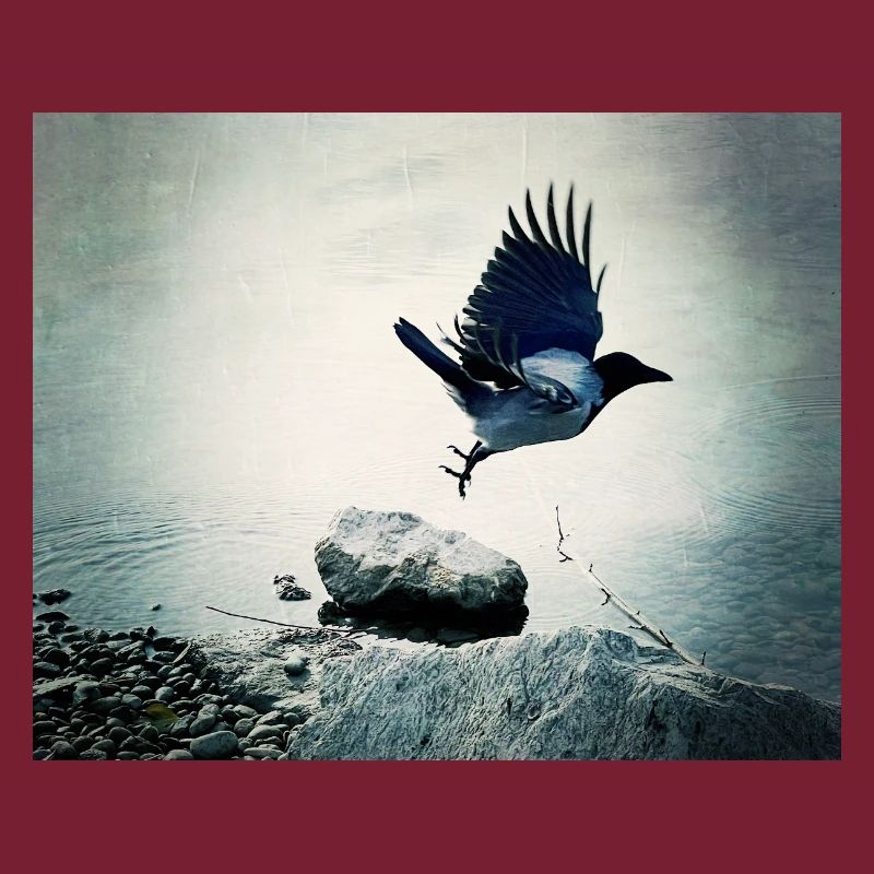 Crow's Flight