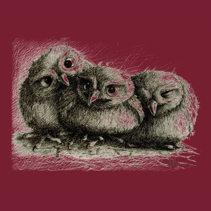 three young owls