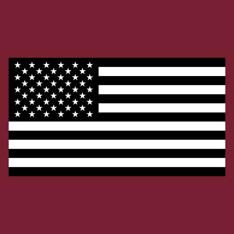 THE AMERICAN FLAG