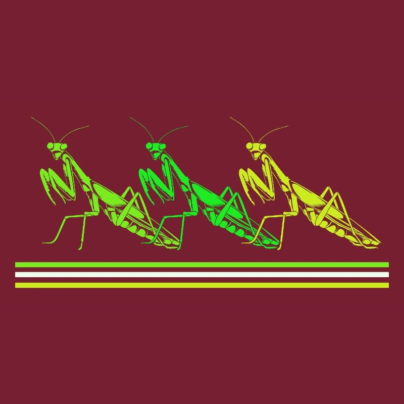 Mantis Gottesanbeter Gottesanbeterin