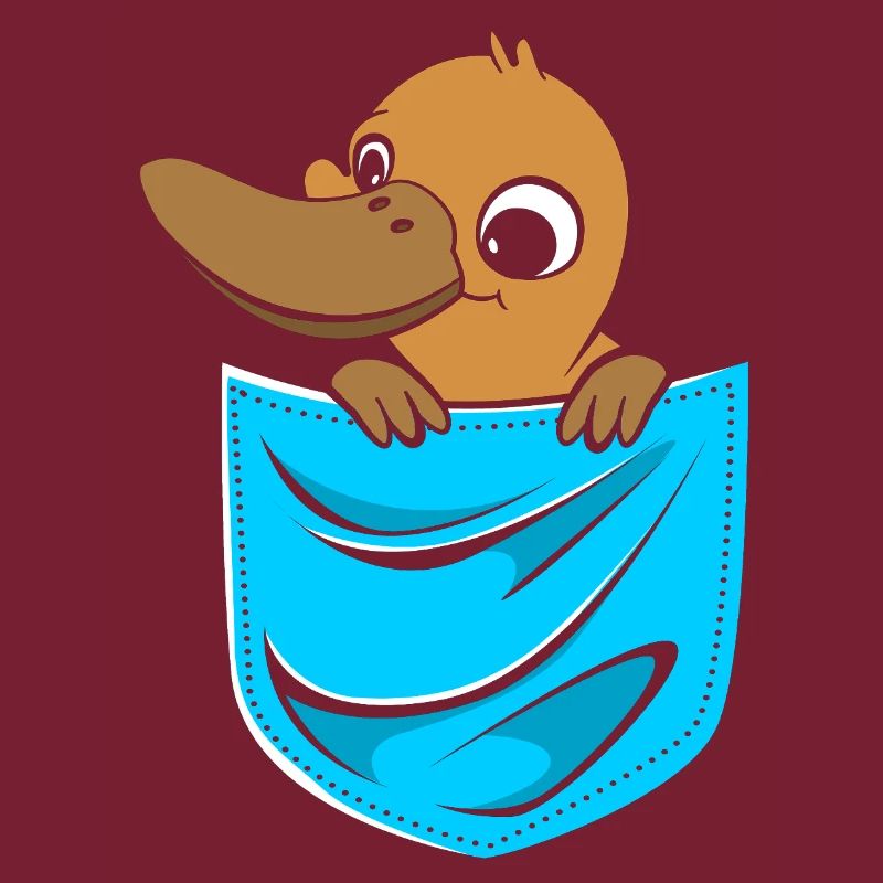 Ornithorynque Ornithorynque Ornithorynque