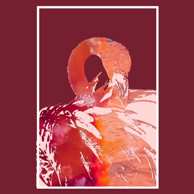 Flamingos