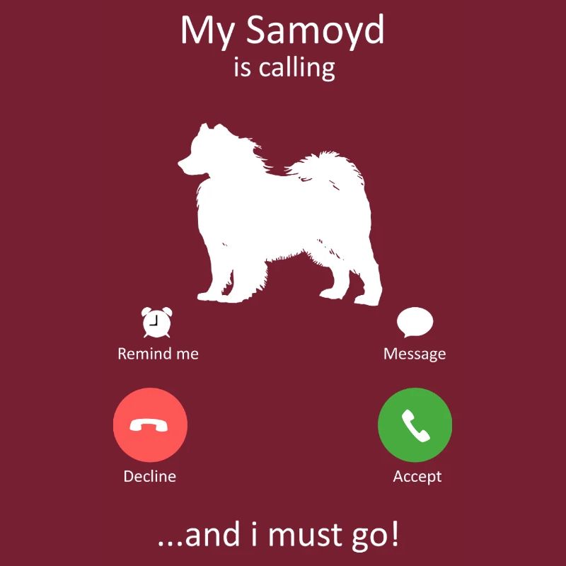Interface téléphonique Samoyède appelant le chien drôle