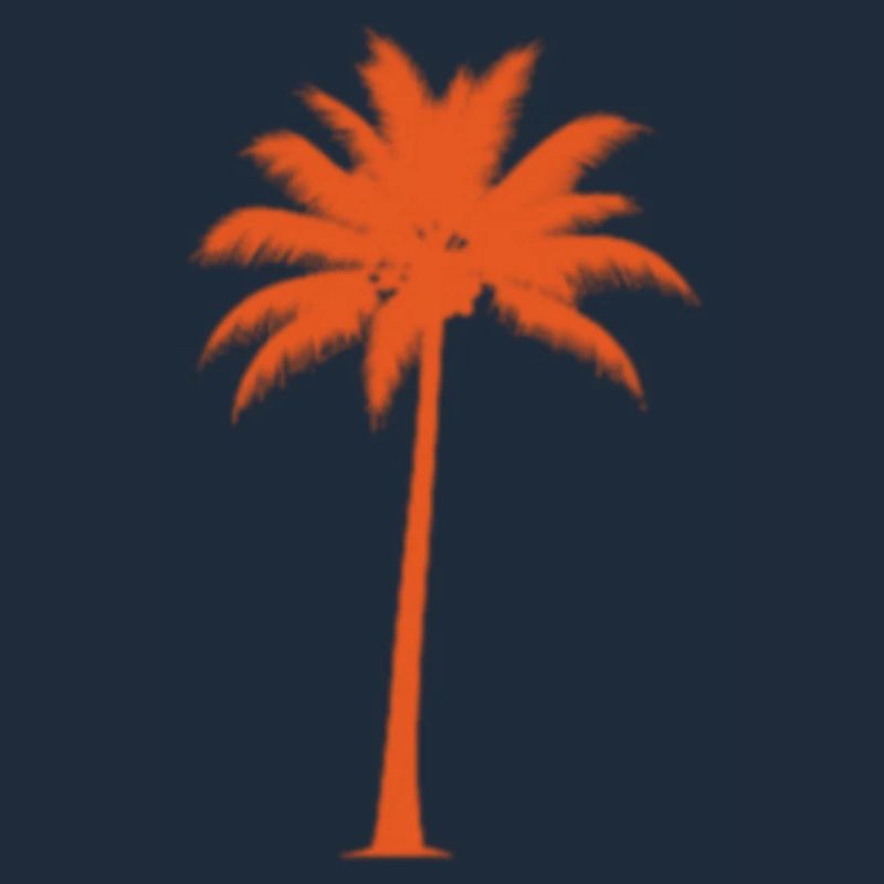 Sunset palm tree silhouette