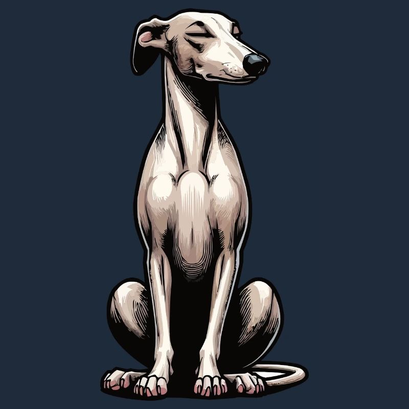 Whippet Greyhound Whippets Propriétaire de lévrier