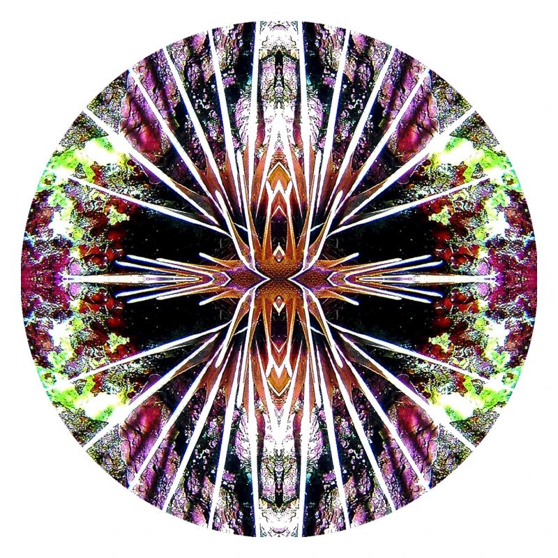 Nature Mandala Underwater, Lionfish