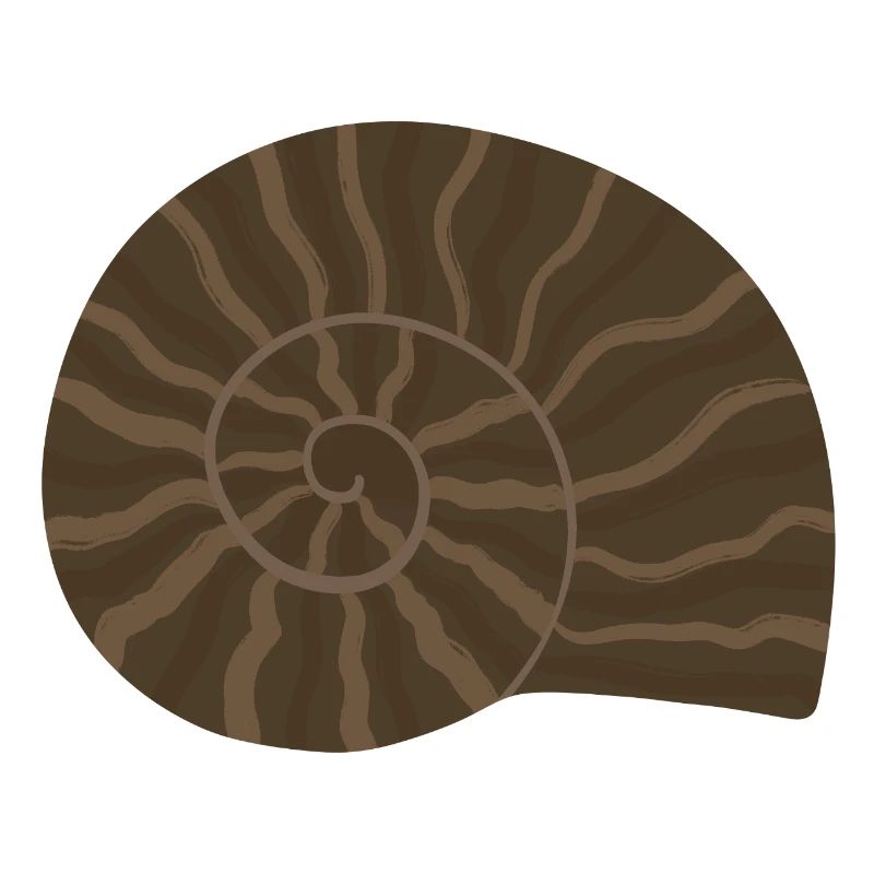 Conception élégante de motif fossile d’ammonite