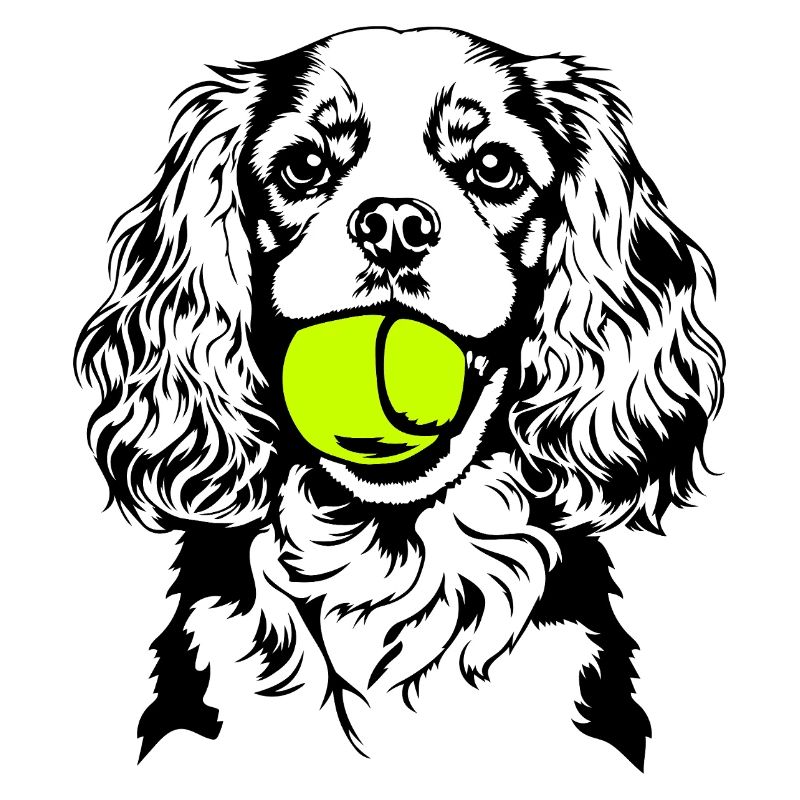 Cavalier King Charles Spaniel Ball Hunde Wilsigns