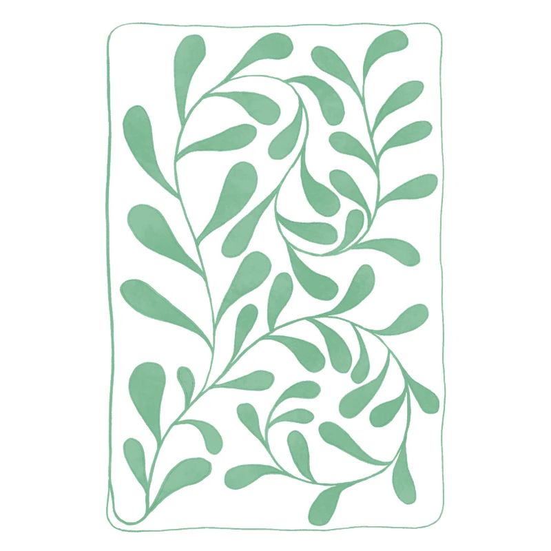 Feuilles d’eucalyptus