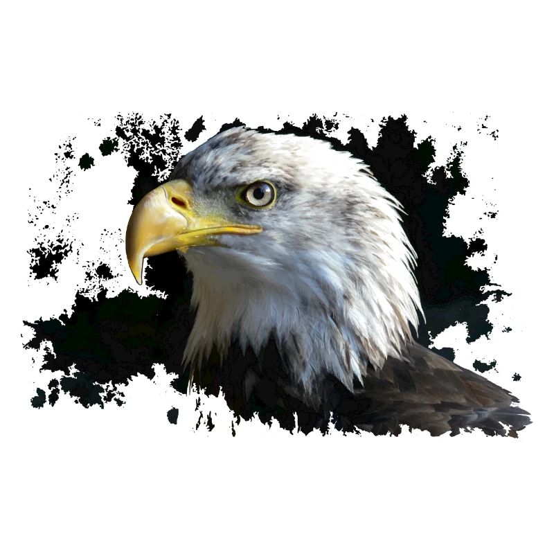 Aigle