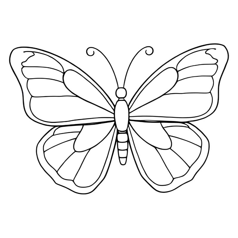 Minimalistic Butterfly