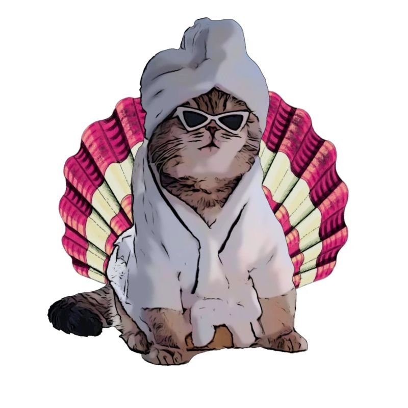 cool cat in spa