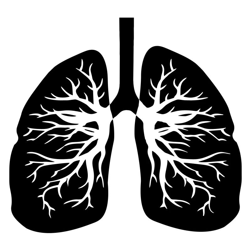 Respiratory therapist lungs