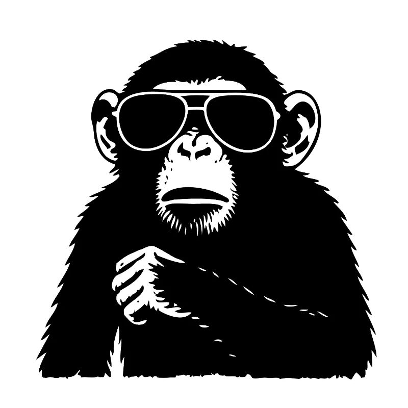 Cool monkey with sunglasses