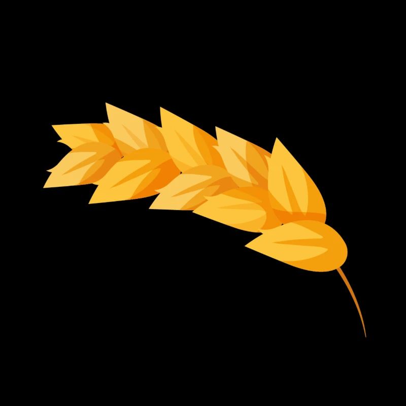 Maïs-grain maïs