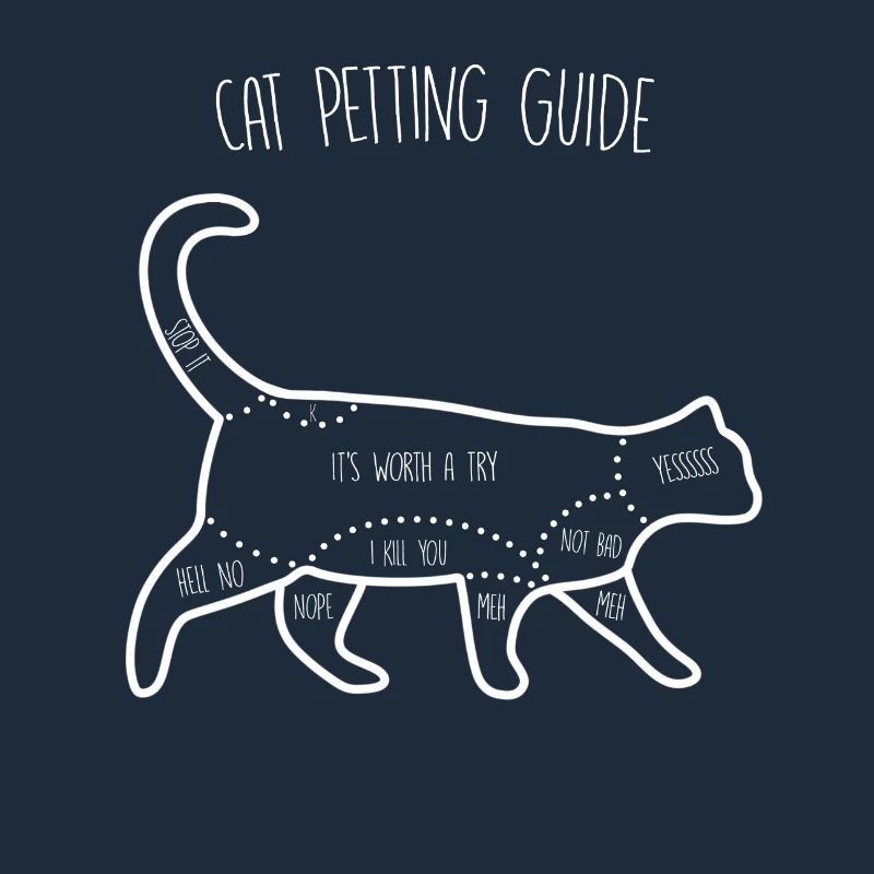 Cat Petting Guide