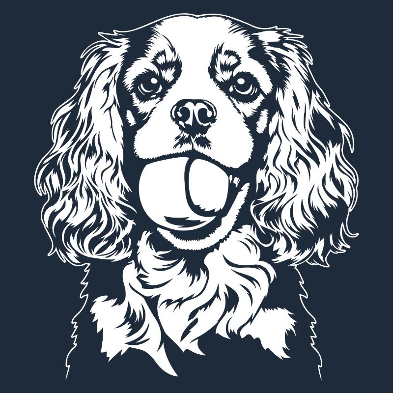 Cavalier King Charles Spaniel Ball Hunde Wilsigns