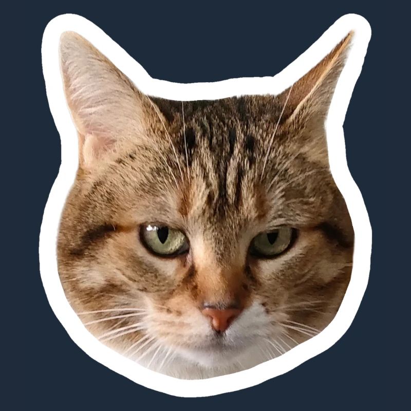 Missty sticker triste