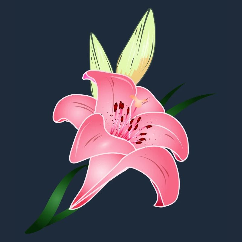 pink lily bloom with two buds