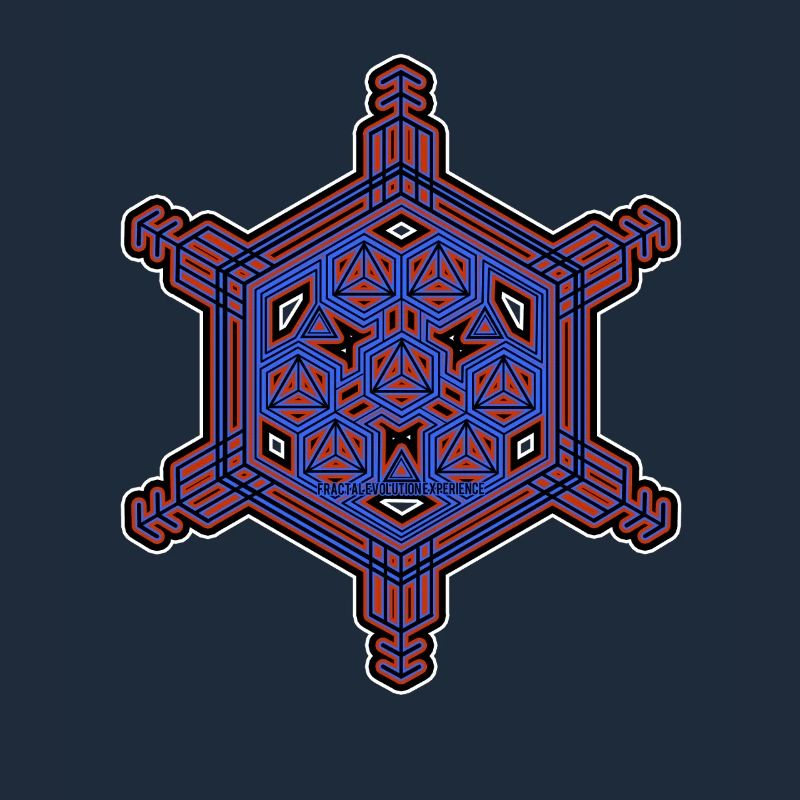 Fractal Evolution Experience Star Hexagon Pattern