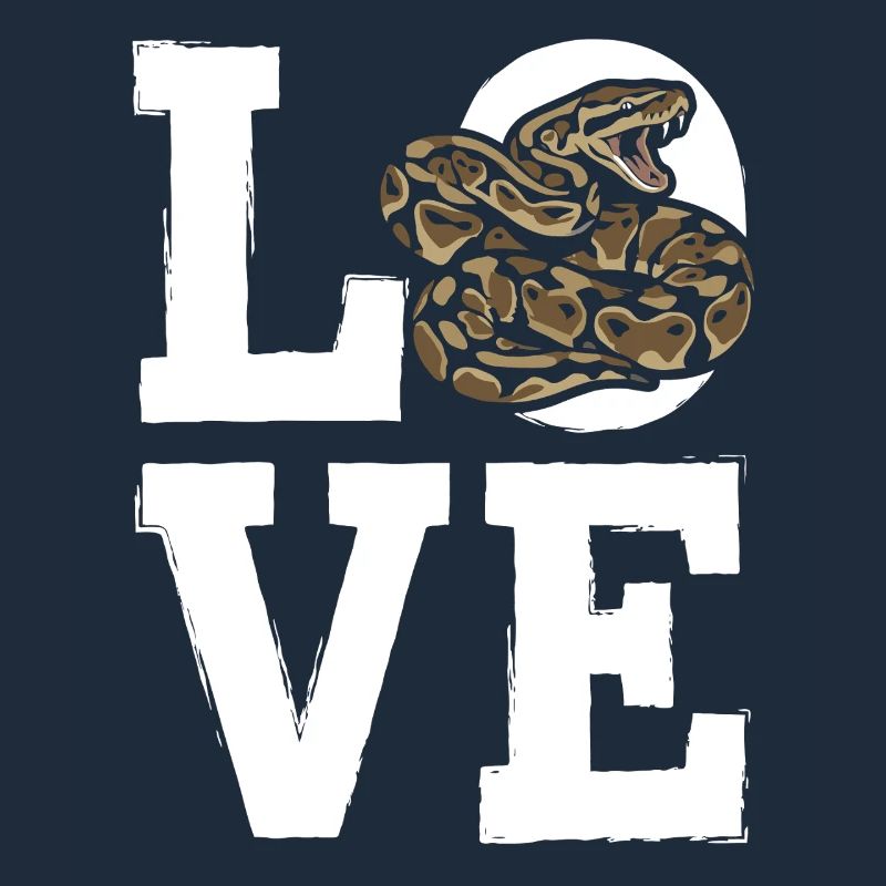 Königspython Schlangen LOVE Terrarium Python