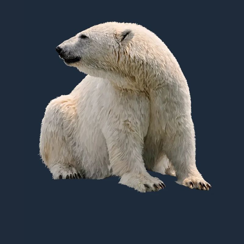 Eisbär