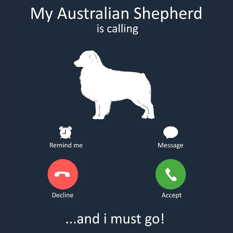 My Australian Shepherd Is Calling Must Go Art