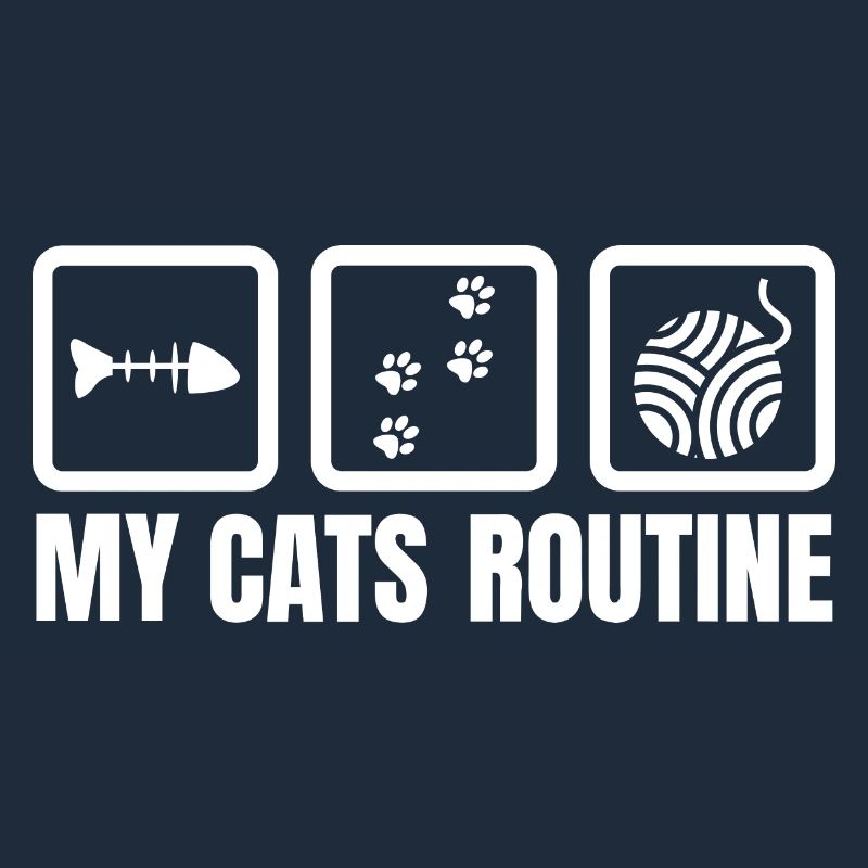 My cat's routine
