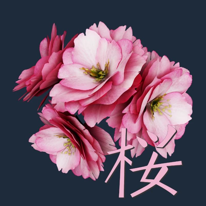 Cherry Blossom