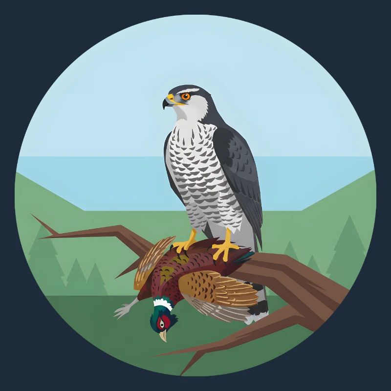 Épervier avec faisan