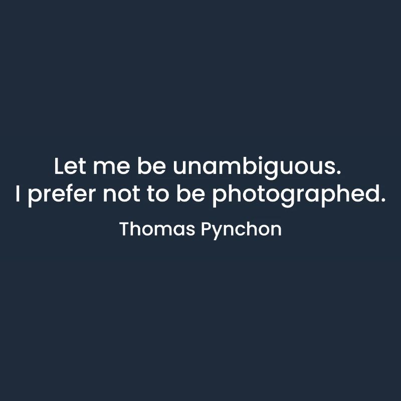 Citation de Thomas Pynchon