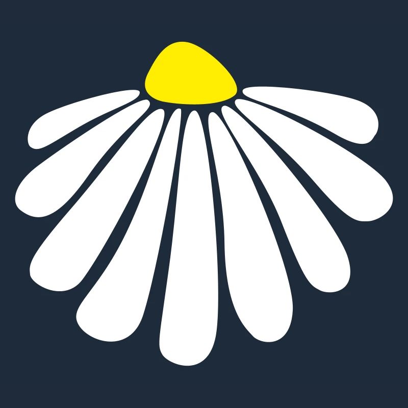 Blume Energie Margarithe Blüte Sommer Natur