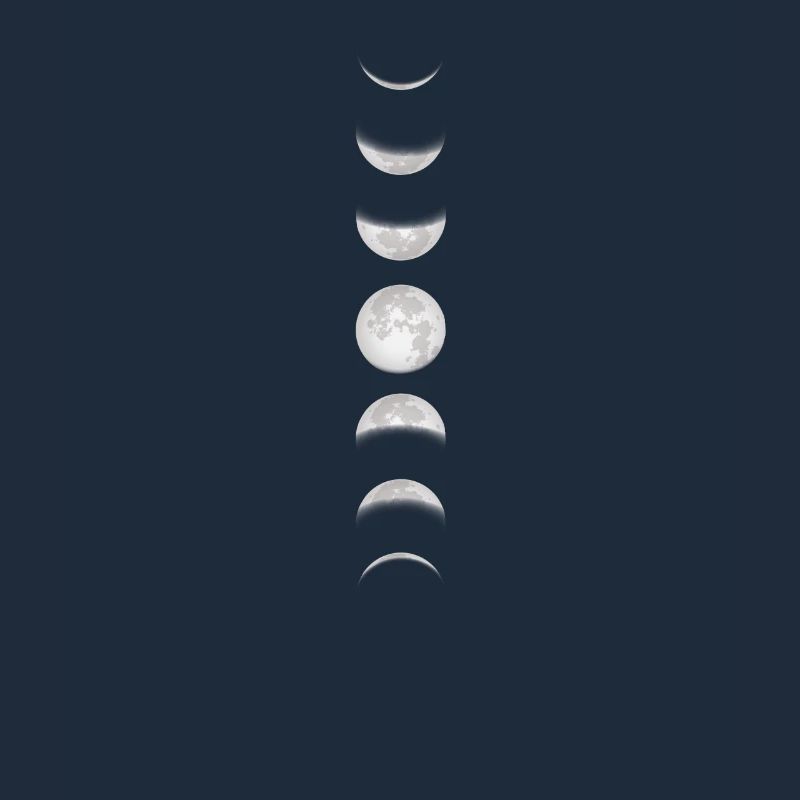 Moon Moon Moon Phases Full Moon Lunar Eclipse Total