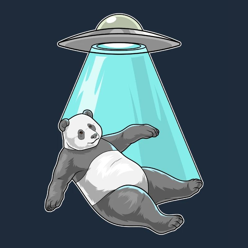 Vaisseau spatial Panda