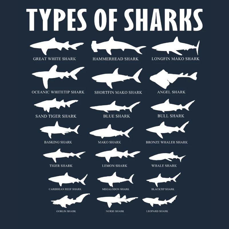 Types de conception de la vie marine océanique des requins