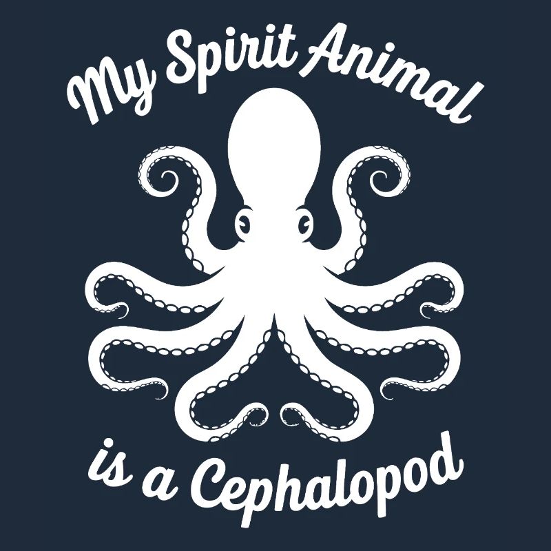 Conception des céphalopodes