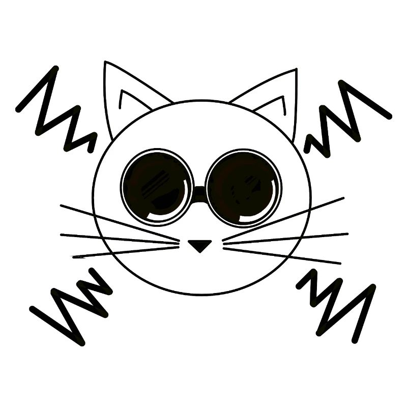 Chat de l’espace