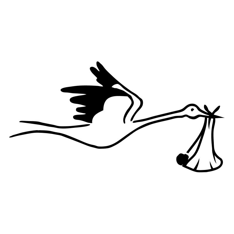 Cigogne avec bébé