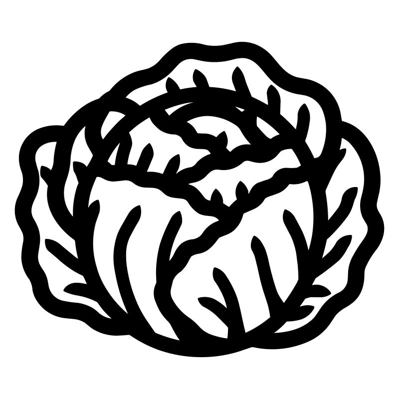 cabbage